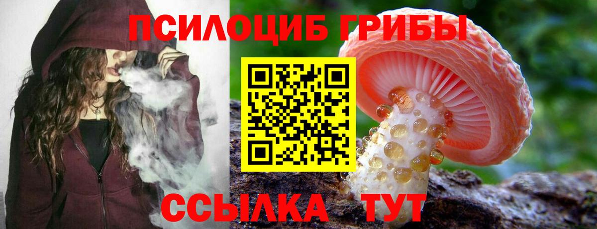 Галлюциногенные грибы Cubensis Нижний Тагил