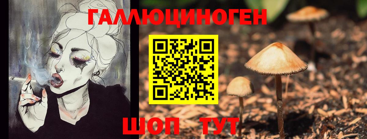 Нижний Тагил  купить   Вход с VPN  Псилоцибиновые грибы GOLDEN TEACHER 